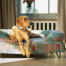 Een retriever rustend bovenop het pawsteps elektrische bolster hondenbed