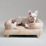 Een franse bulldog ontspannen in de pawsteps natuurlijke bolster hondenbed