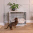 Teckel klimt in Omlet Fido Studio hond bench meubilair