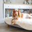 Topology hondenbed met witte schapenvacht topper
