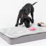 Een puppy die met een speeltje speelt op het Topology puppybed met gewatteerde topper