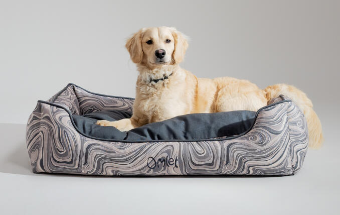 Mini retriever liggend op een stijlvol en draagbaar hondennest van Omlet