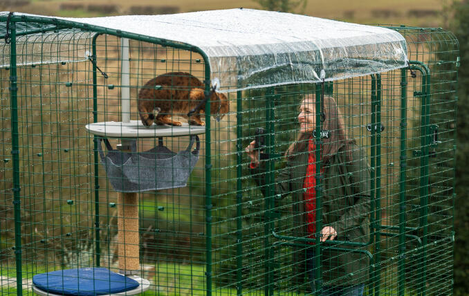 Eigenaresse in interactie met haar kat in een Omlet inloopren met heldere weerbescherming.