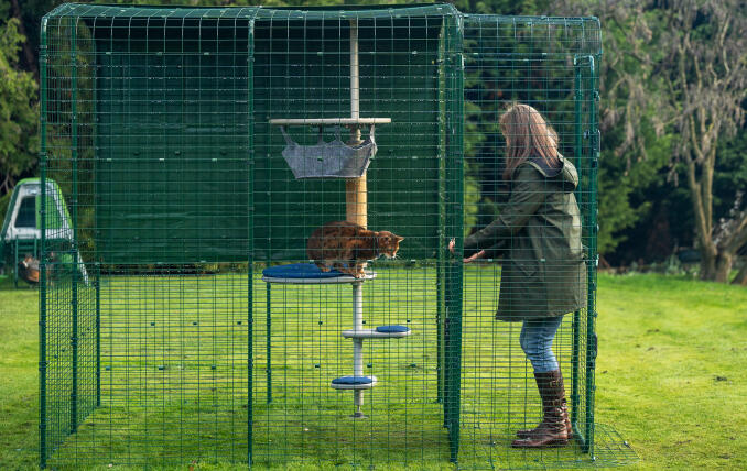 Eigenaresse opent de deur van haar aanpasbare buitenren voor katten.