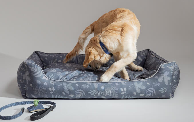Retriever op een groot duurzaam vervaardigd designer hondennest van Omlet