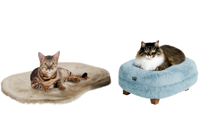Katten die in kattenbedden slapen