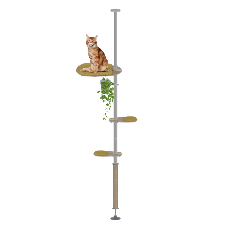 Freestyle - De Top Cat Kit - 2,15 m tot 2,60 m