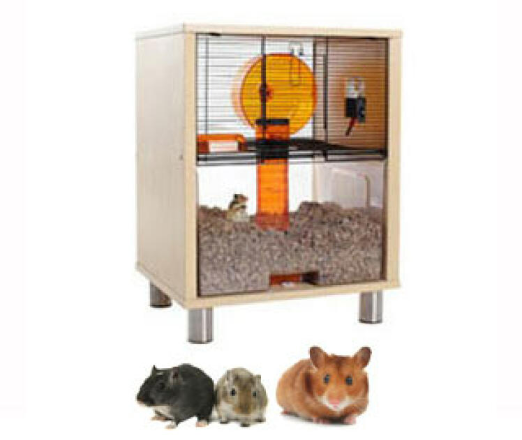 Qute hamsterkooi