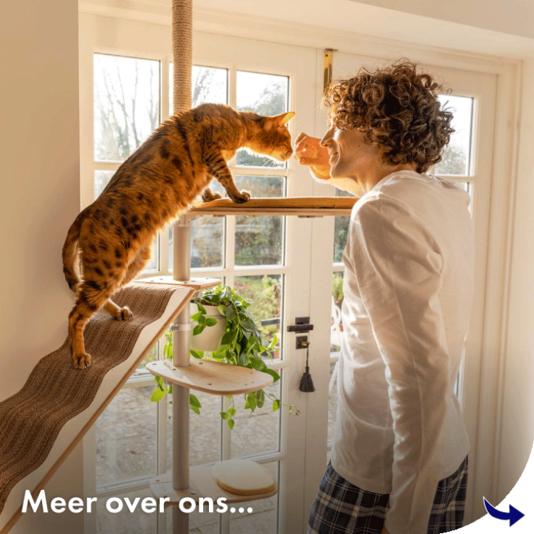 Meer te weten komen over Omlet