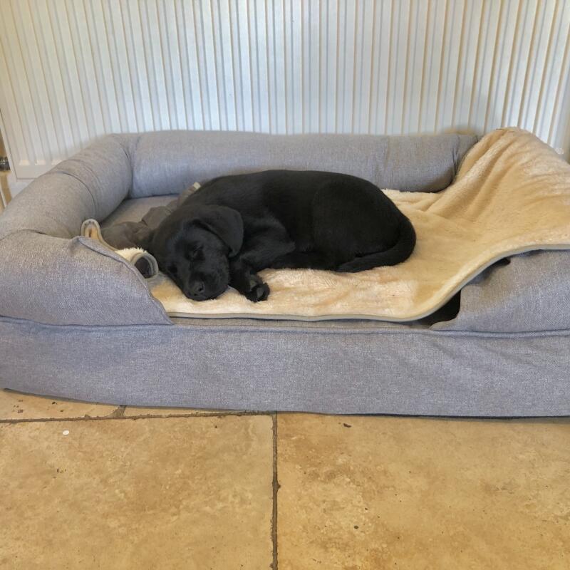 Traagschuim Bolsterbed voor honden