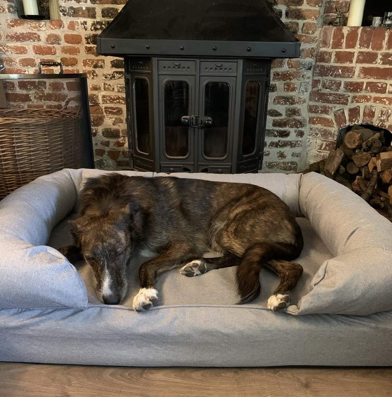 Omlet Traagschuim Bolsterbed voor honden