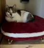 Ontzettend mooie leuke (kerst)mand