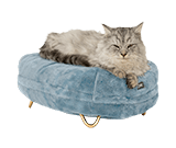 Kattenmanden