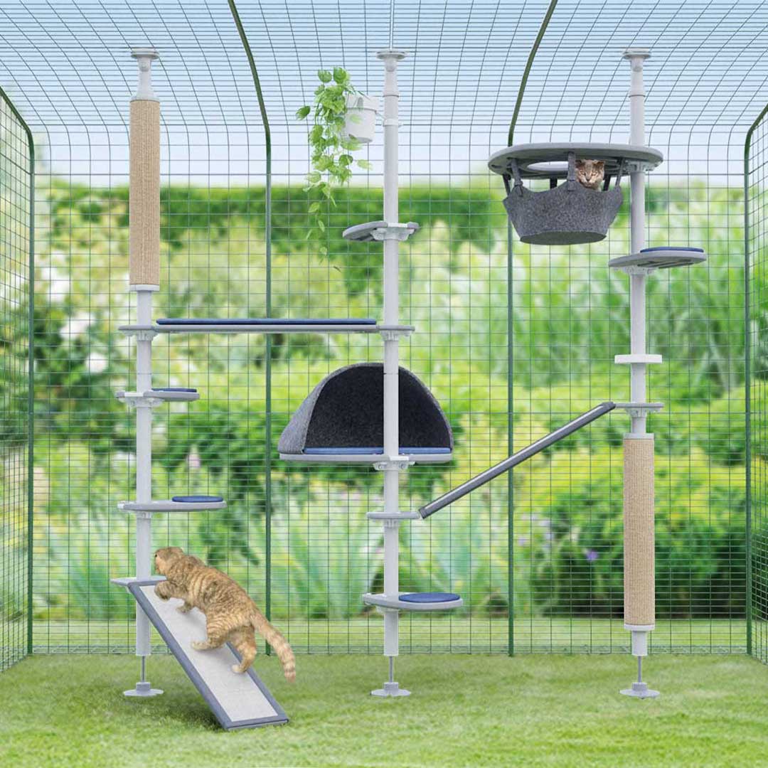 outdoor cat tree with accessories in a outdoor catio