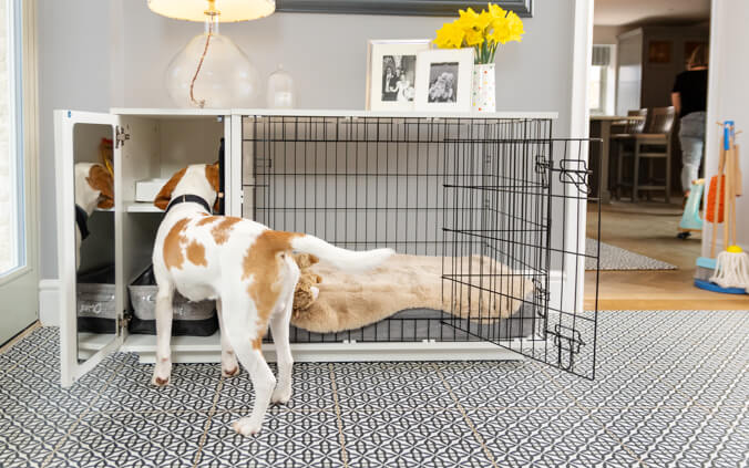 hond kijkt in garderobe van een hondenbench