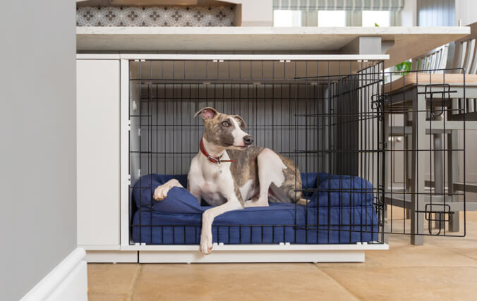 Hond rust uit in een indoor hondenkennel in een keuken