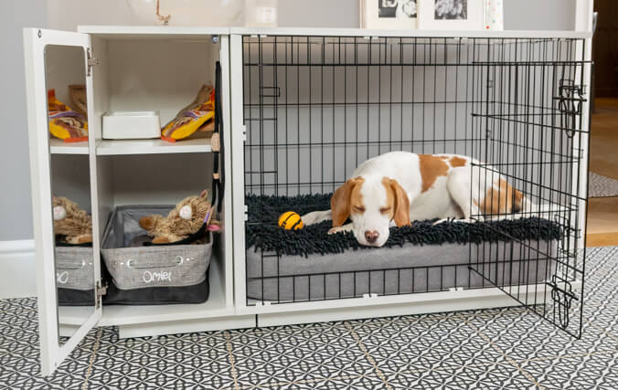 hond slapend in een moderne hondenbench