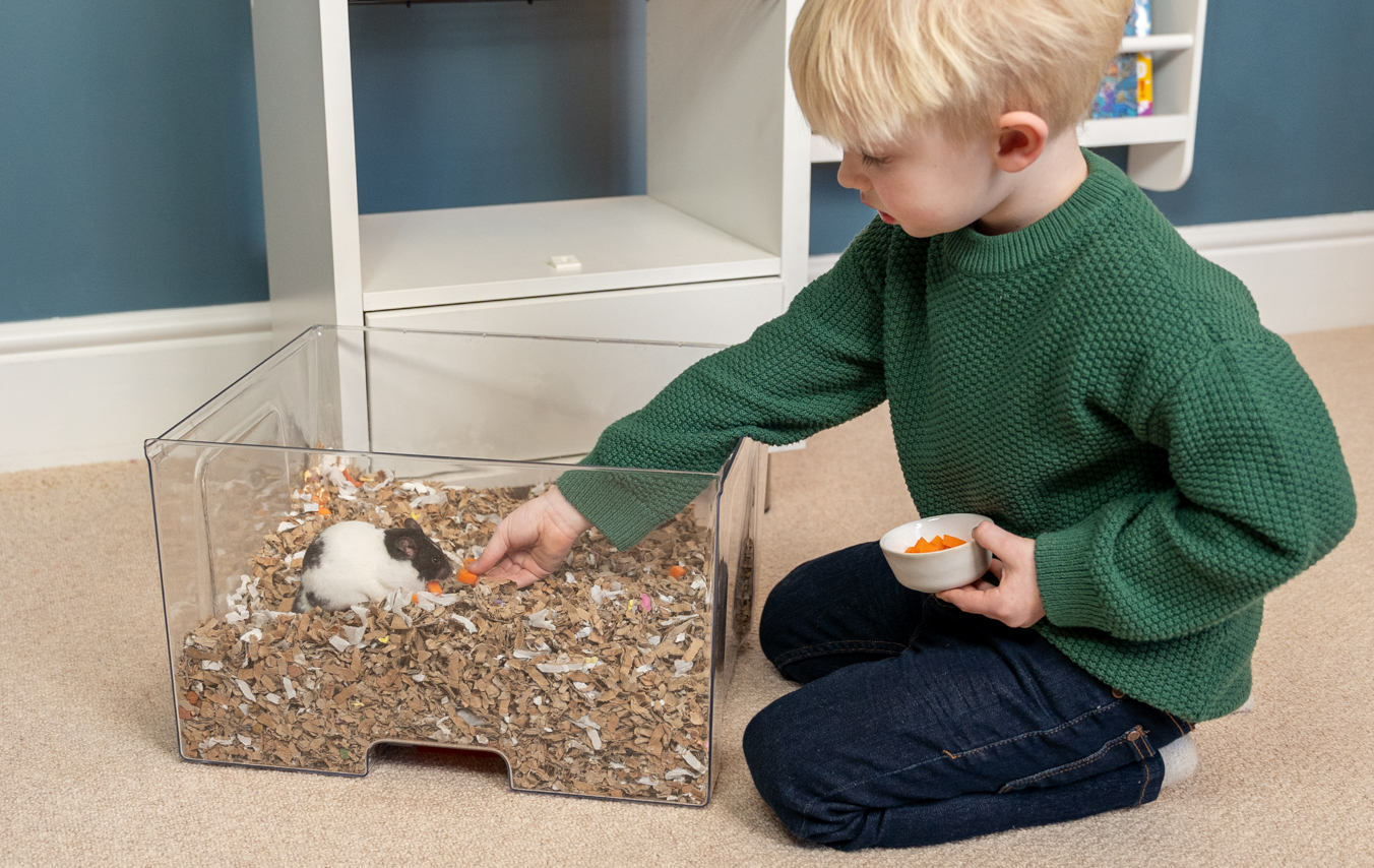 kind voert een hamster in de nestlade van een Qute hamsterkooi