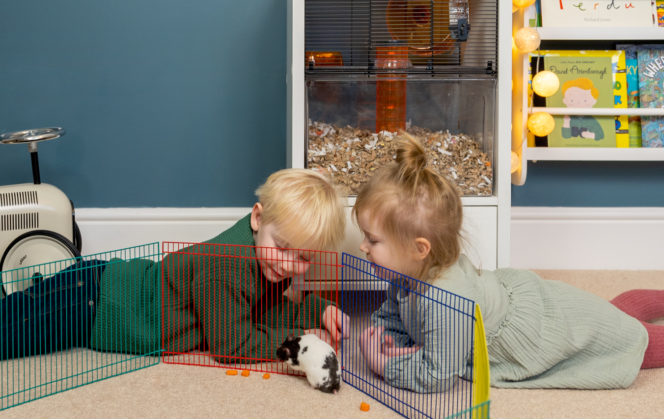 kinderen spelen met hamsters en gerbils