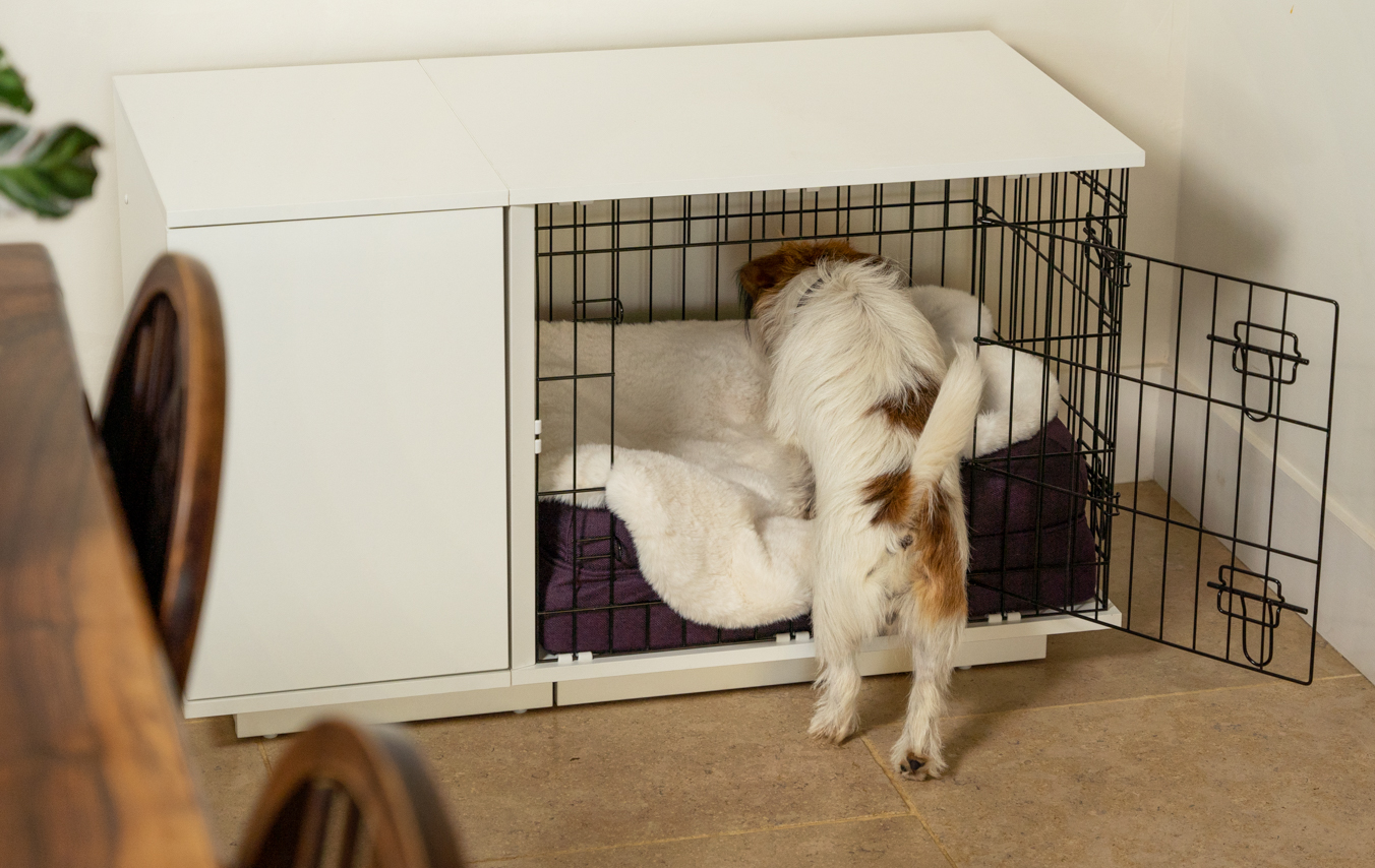 Jack Russell terrier making themselves comfy in their Omlet Fido Studio dog crate with Luxury Faux Sheepskin dog blanket