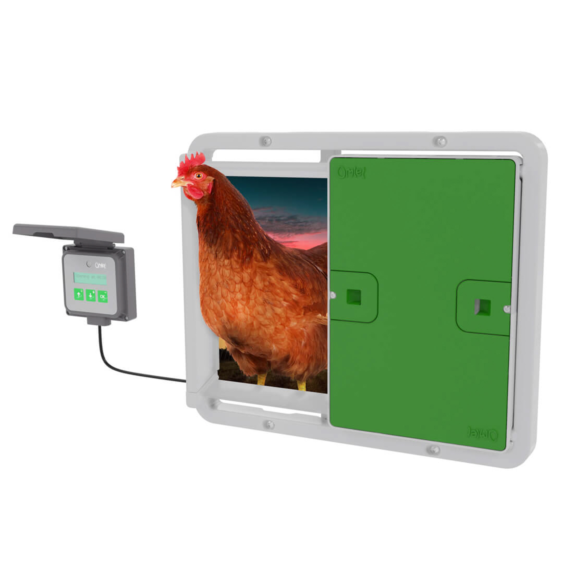 baseren Sportschool Ritmisch Automatische deuropener voor kippenhok | Omlet