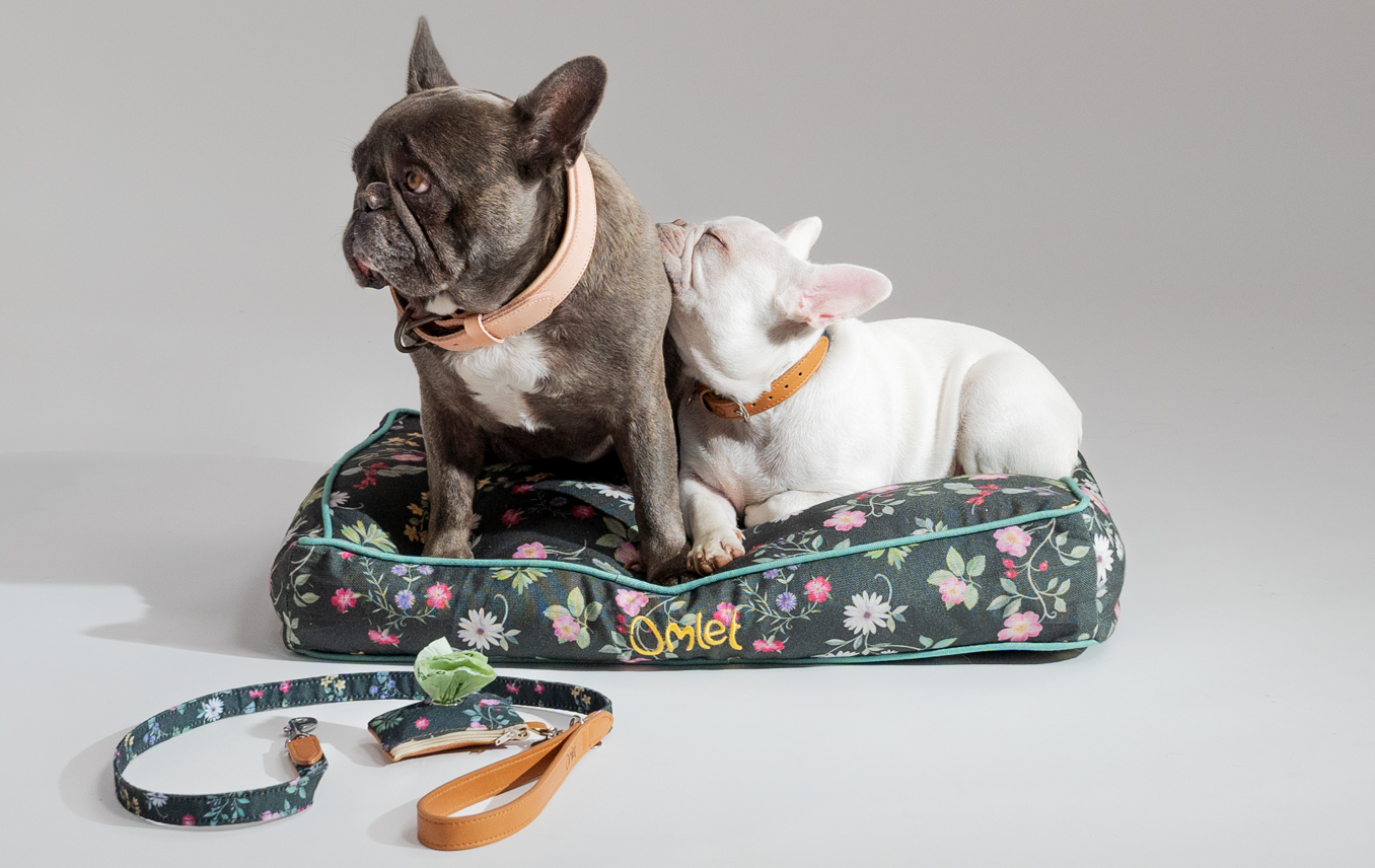 Two French bulldogs communicating on their Omlet Cushion dog bed in Midnight Meadow
