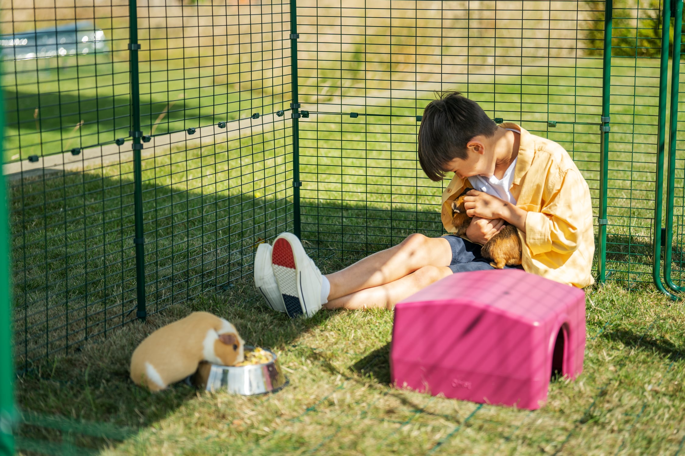 Een jongen met zijn twee cavia’s in de Omlet buitenren voor cavia’s