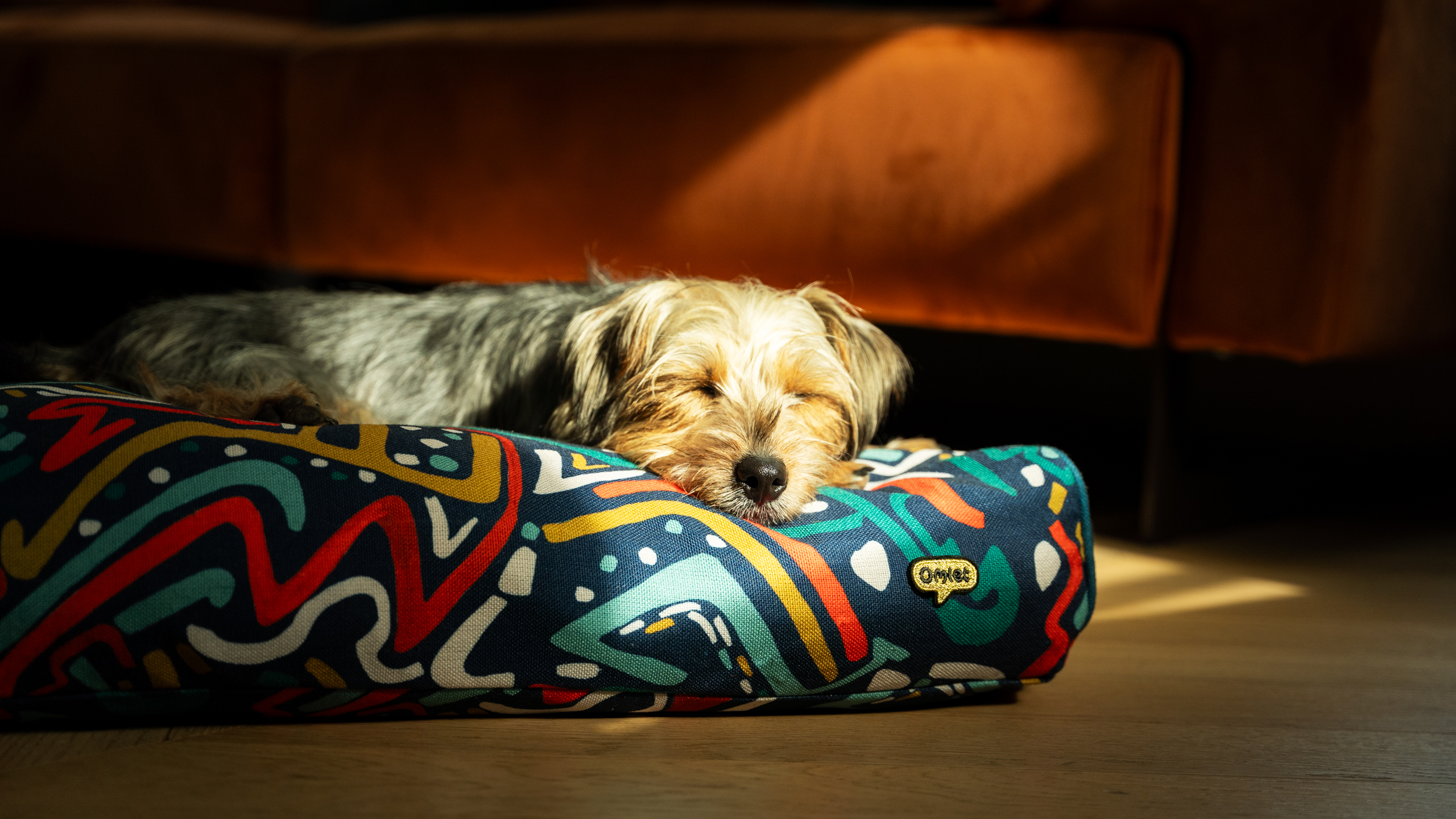 Terrier on Omlet's Cushion Dog Bed