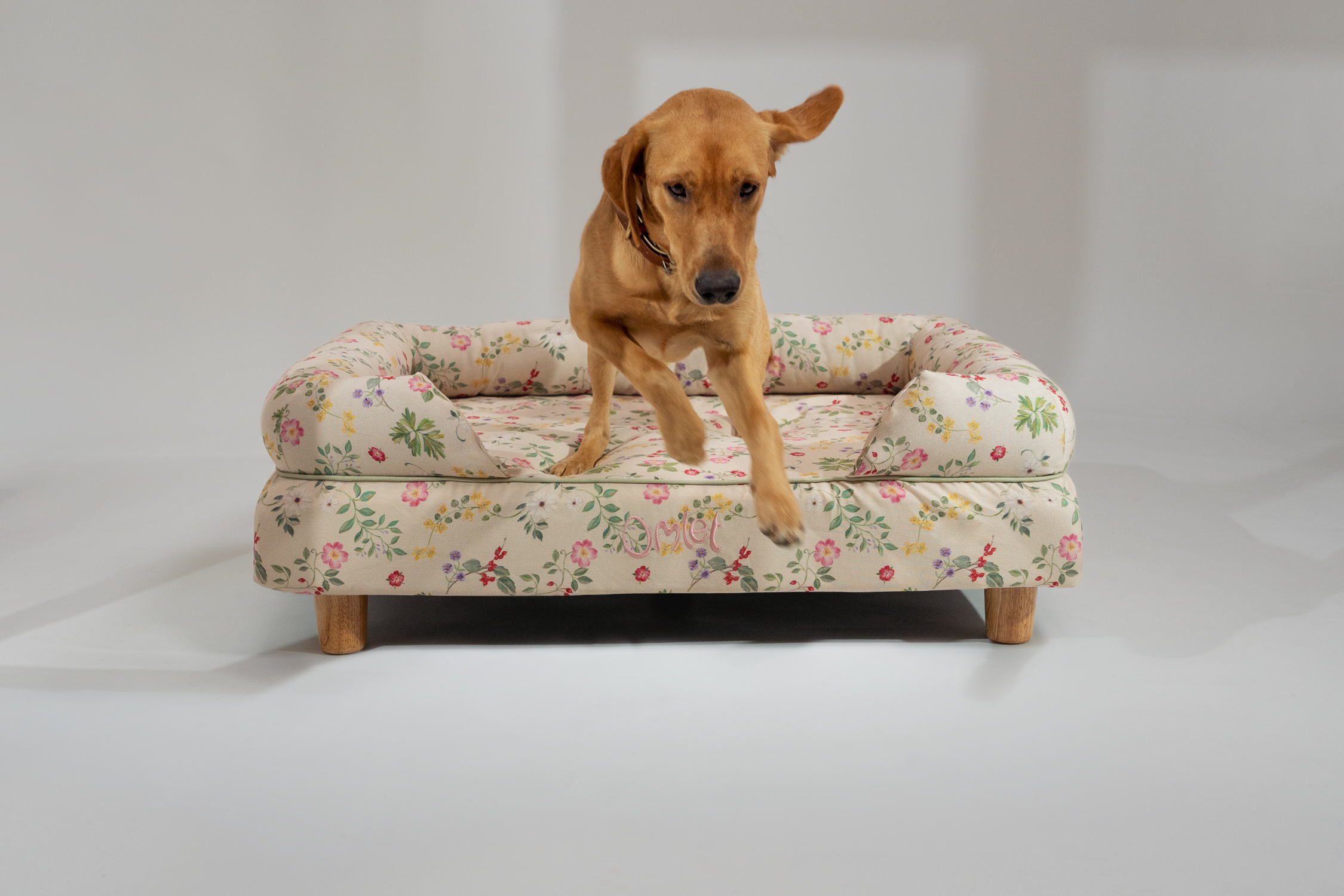 Fox red labrador jumping off large Omlet Bolster Dog Bed in floral Morning Meadow print.