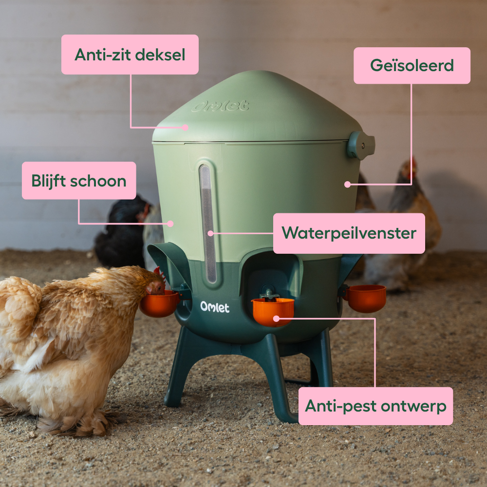 Accessoires voor kip en kippenhok | Pets Place