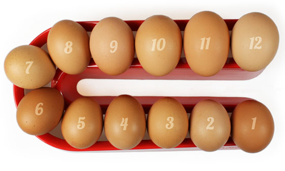 U kunt tot wel 12 eieren, of zelfs nog meer krieleitjes bewaren!