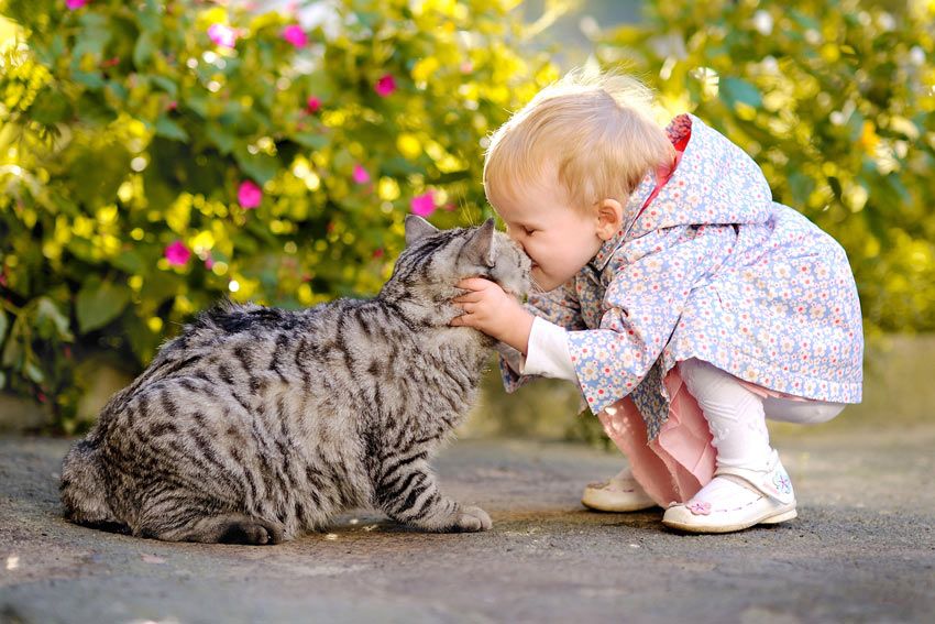 A young girl cuddling her beautiful tabby cat