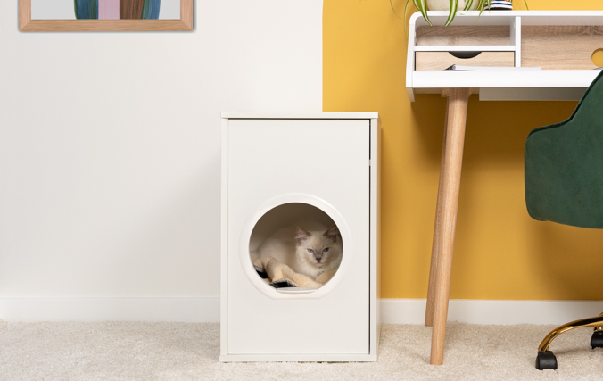 Kat in een modern kattenmand-meubel in gesloten ruimte om tocht en hinder te beperken