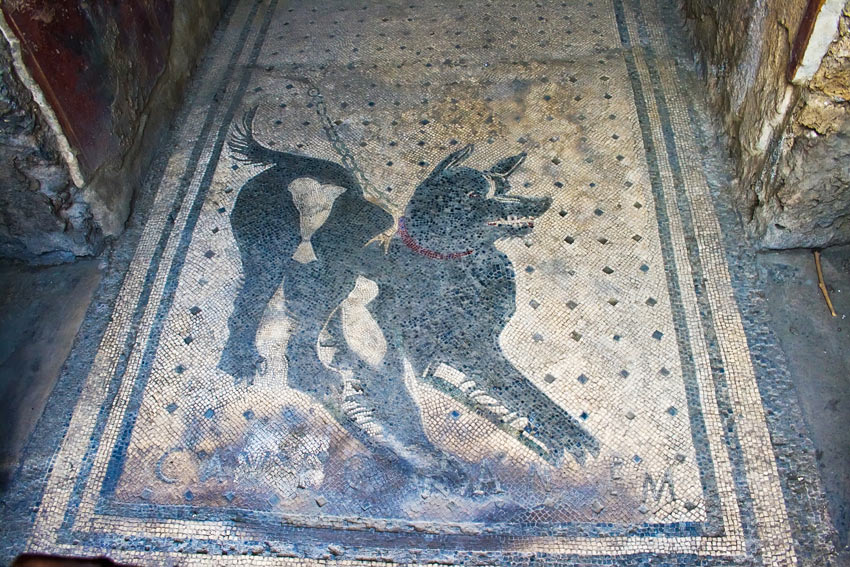 Een Romeinse mozaïek
