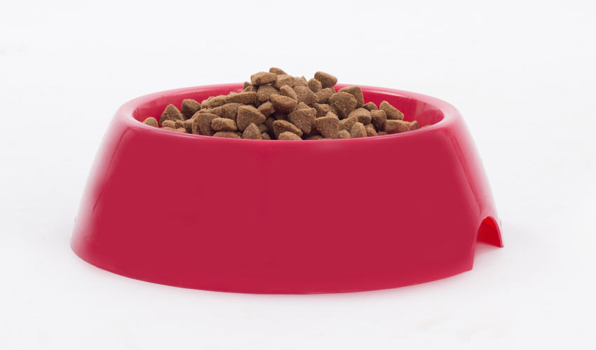 A bowl of dry dog food