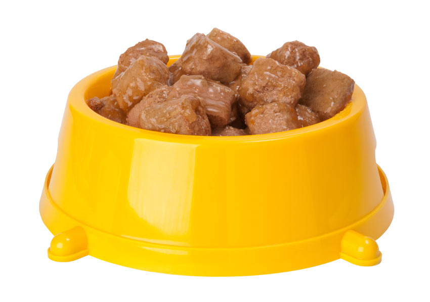A bowl of wet dog food