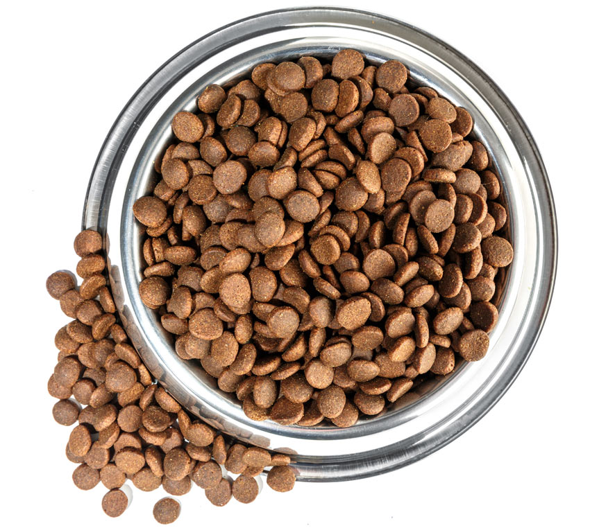 A great big bowl of dry dog food