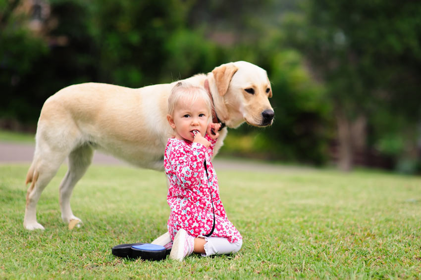Een jong meisje buiten met haar Labrador