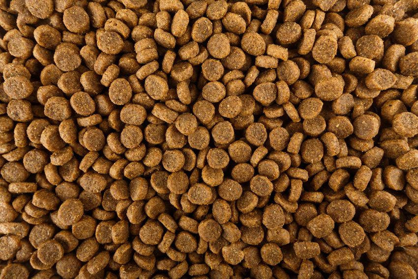 Dry dog food