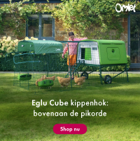Omlet Eglu Cube kippenhok met ren