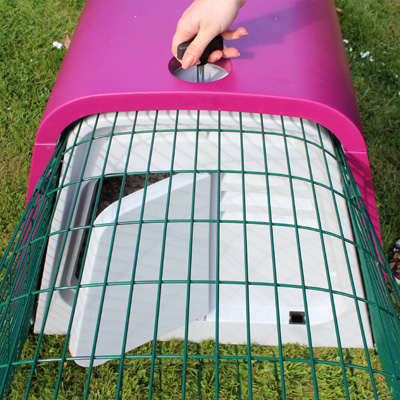 Opening the front door of an Eglu Go Hutch.