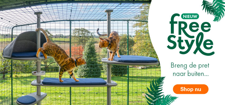 Twee rode katten spelen op de Omlet Outdoor Freestyle kattenpaal