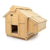 Lenham Chicken Coop