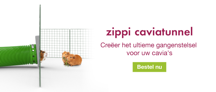 Zippi Guinea Pig Tunnel System Banner