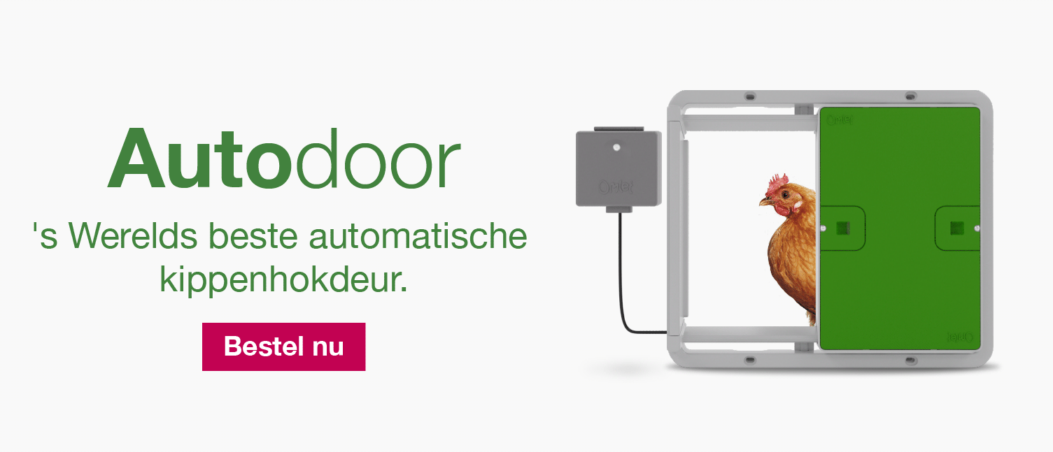 Autodoor Banner