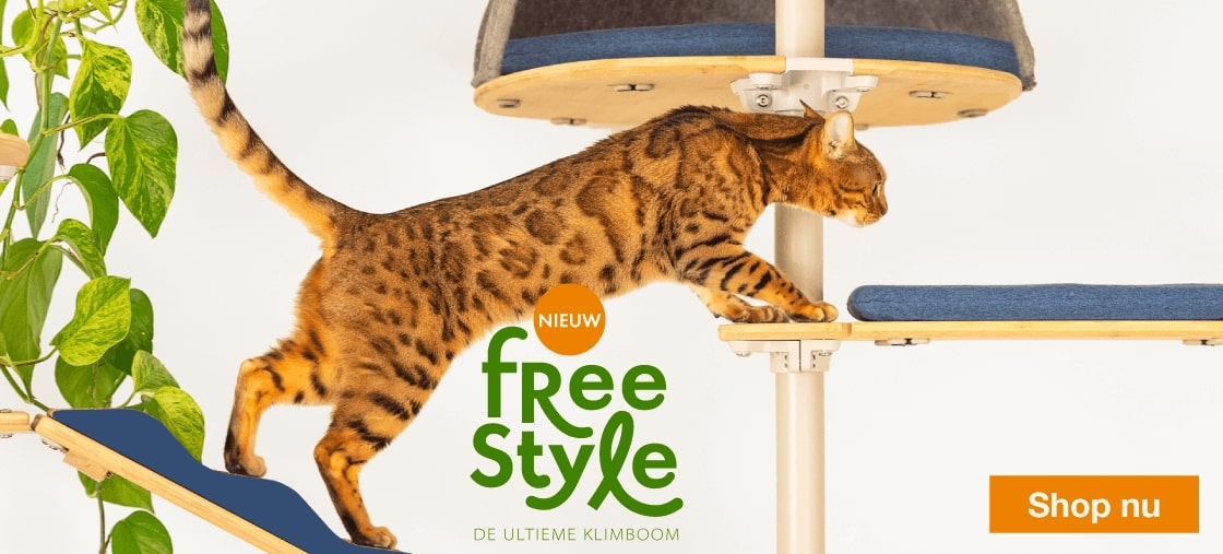Kat klimt op indoor kattenboom brug.