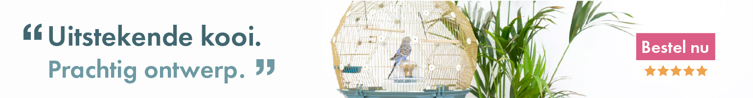 Geo Bird Cage