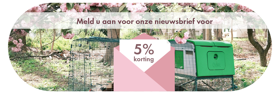 Newsletter Sign Up