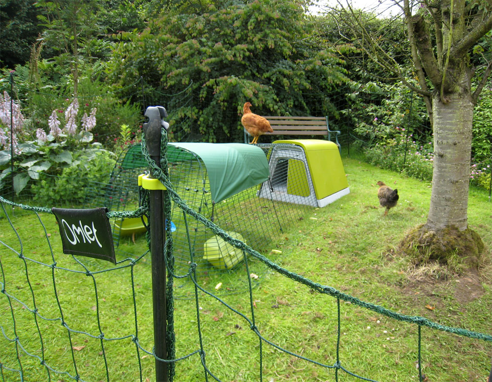 The Omlet fencing allows your hens to explore a little more of your garden but keeps them out of the flower beds