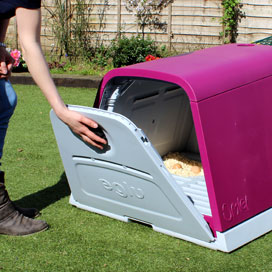 Opening the large back door of an Eglu Go chicken house.